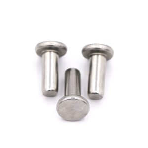 Flat Head Stainless Steel Solid Rivets