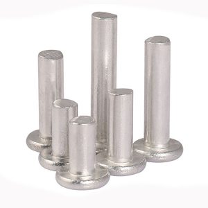 Stainless Steel Solid Rivets